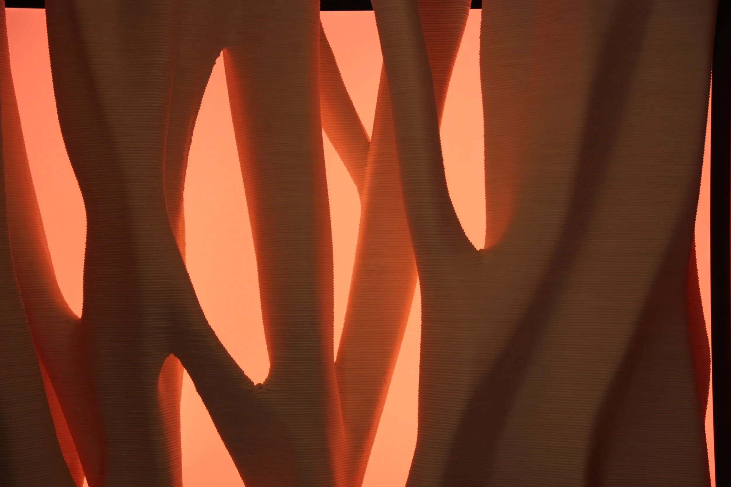 One of the four pieces