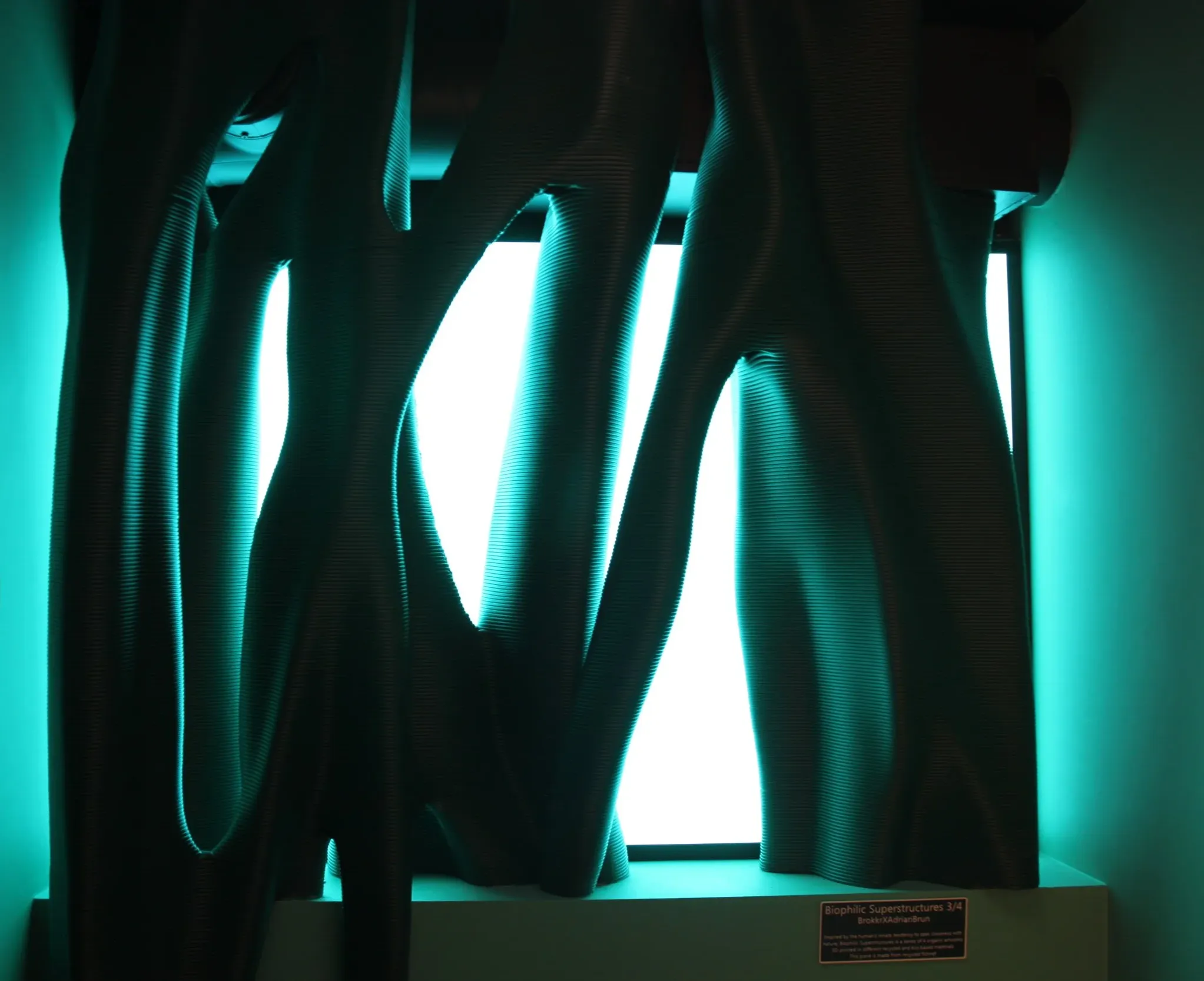 Organic printed structure